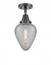 Innovations Lighting 447-1C-BK-G165 - Geneseo - 1 Light - 7 inch - Matte Black - Semi-Flush Mount