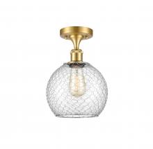Innovations Lighting 516-1C-SG-G122-8CSN - Farmhouse Chicken Wire 1 Light Semi-Flush Mount