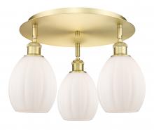 Innovations Lighting 516-3C-SG-G81 - Eaton - 3 Light - 17 inch - Satin Gold - Semi-Flush Mount