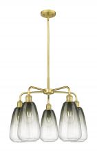 Innovations Lighting 516-5CR-SG-G480-6SL - Brookhaven Almond - 5 Light - 25 inch - Satin Gold - Stem hung - Chandelier