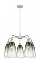 Innovations Lighting 516-5CR-SN-G480-6SL - Brookhaven Almond - 5 Light - 25 inch - Satin Nickel - Stem hung - Chandelier