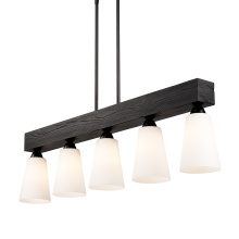 Golden 1830-LP BLK-OP - Wry Lighting Neela 5-light Island Light in Matte Black