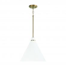 Capital 350112AW - 1-Light Pendant