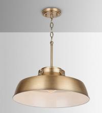 Capital 9D328A - 1-Light Aged Brass Metal Pendant