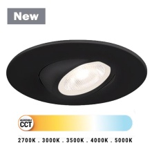 Eurofase 45364-020 - MIDWAY 2  REC RD  GBL BK