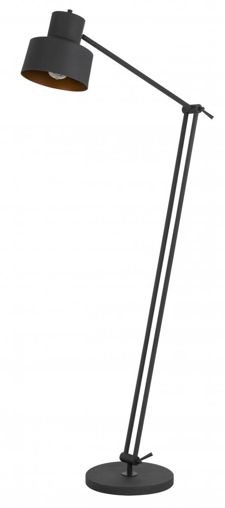 60W Davidson metal floor lamp with weighted base, adjustable upper and lower arms.
