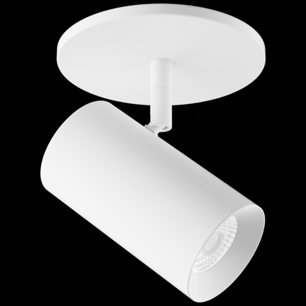 2" WHT MNPNT 1150LM 38DEG BM SSD