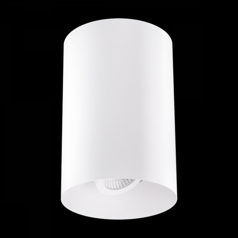 4" ADJ SRFC MNT 38°BM 950LM 30K BLK