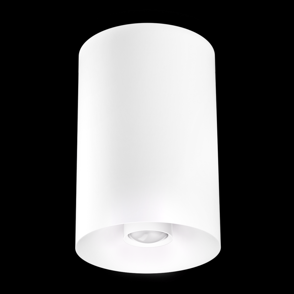 4" SLVR SRFC MNT 18°-50°BM 750LM SSD