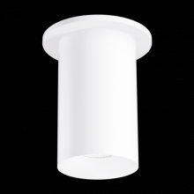 Elco Lighting E36FS-0927 - 3" SLVR SRFC MNT 38DEG BM 950LM 27K