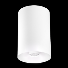 Elco Lighting E42FS-07SD-FC - 4" SLVR SRFC MNT 18°-50°BM 750LM SSD