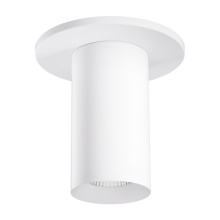 Elco Lighting E25FS-10CT5 - 2" SRFC MNT 38° 1000LM 5CCT SLVR