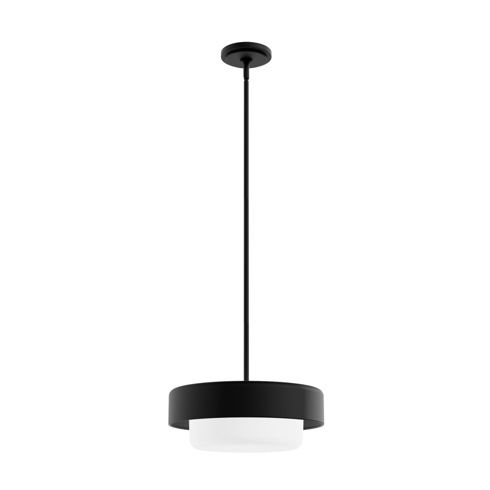 Hunter Station Natural Black Iron with Frosted Cased White Glass 2 Lt Pendant Ceiling Lt Fixture
