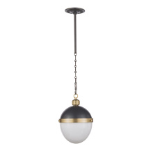 Regina Andrew 16-1118BBNB - Regina Andrew Otis Pendant Medium (Blackened Brass and Natural Brass)