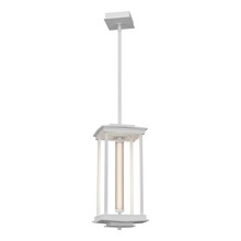 Hubbardton Forge 131631-LED-MULT-02-ZM0734 - Athena 1-Light Medium LED Lantern