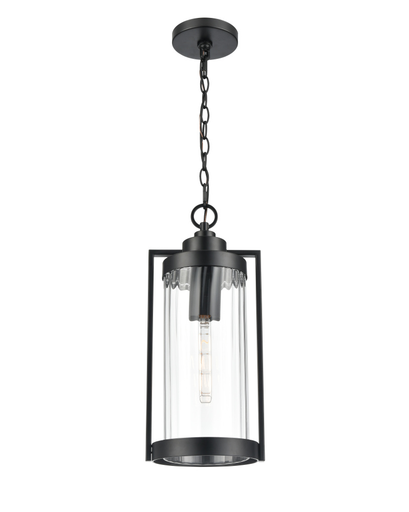 Braselton 8" Wide 1-Light Outdoor Hanging Lantern - Powder Coated Black