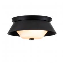Lucas McKearn fm1004mb-10 - Bowtie Flush Mount in Matte Black