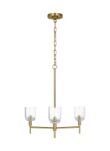 Visual Comfort & Co. Studio Collection TFC1143BBS - Hartley Medium Chandelier