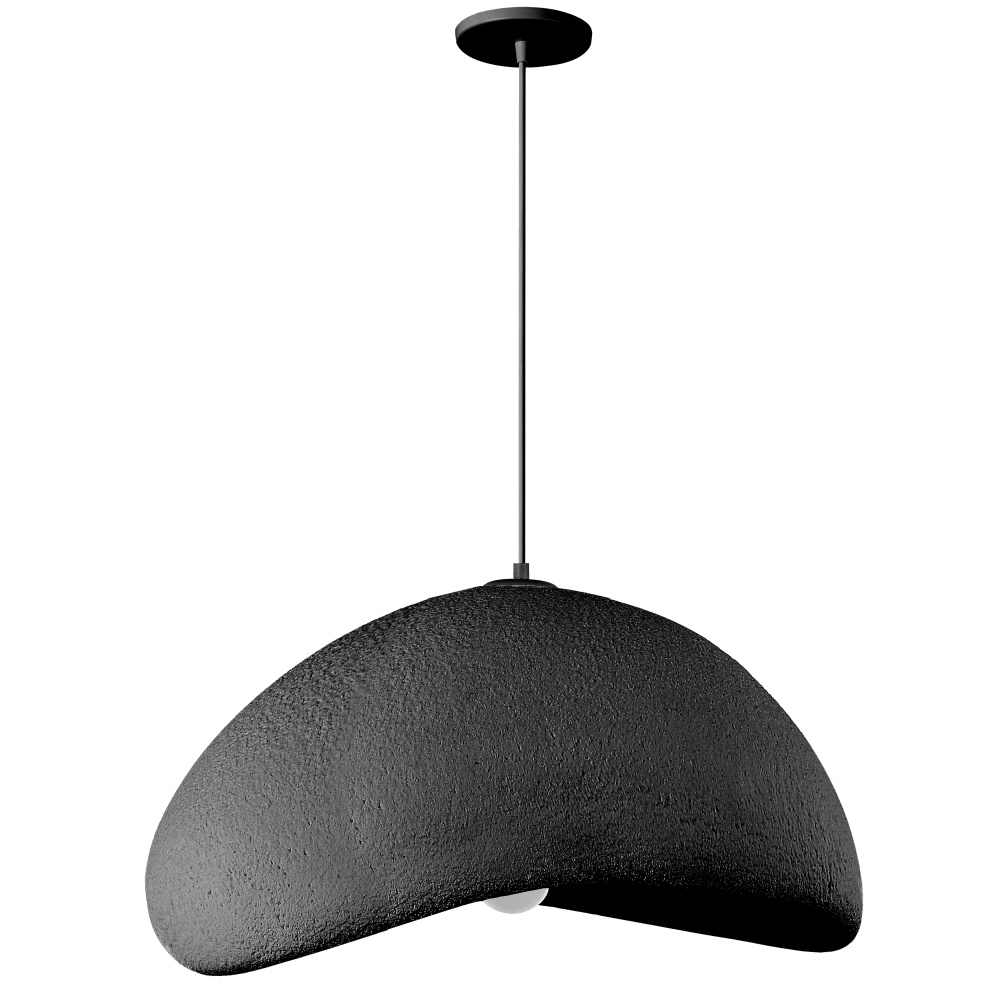 1 Light Pendant in Matte Black