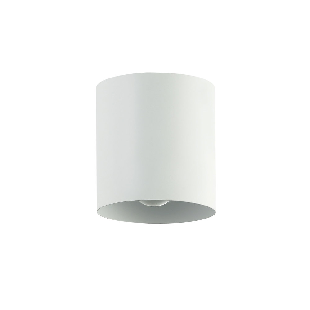 1LT Flush Mount, MW