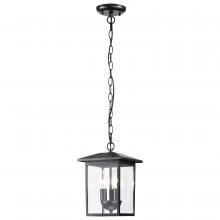 NUVO 60/5933 - Jamesport Collection Outdoor 11 inch Hanging Light; Matte Black with Clear Glass