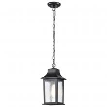 NUVO 60/5958 - Stillwell Collection Outdoor 14 inch Hanging Light; Matte Black Finish with Clear Water Glass