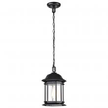NUVO 60/6117 - Hopkins Collection Outdoor 12 inch Hanging Lantern; Matte Black Finish with Clear Glass