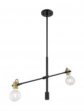 NUVO 60/6988 - Mantra - 2 Light Pendant with- Black and Brass Accents Finish