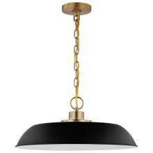 NUVO 60/7484 - Colony; 1 Light; Medium Pendant; Matte Black with Burnished Brass