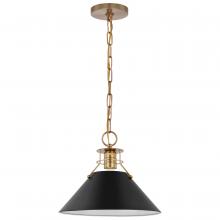 NUVO 60/7523 - Outpost; 1 Light; Medium Pendant; Matte Black with Burnished Brass