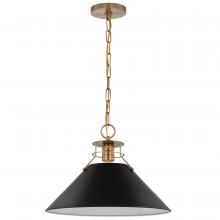 NUVO 60/7525 - Outpost; 1 Light; Large Pendant; Matte Black with Burnished Brass