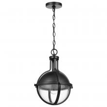NUVO 60/7674 - Lincoln; 1 Light Medium Pendant; Medium Base; 60 Watt; Matte Black Finish; Clear Seeded Glass