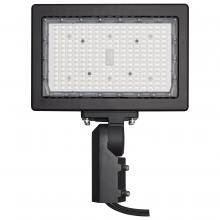 NUVO 65/619R1 - LED Flood Light; 150 Watt; 4000K; Bronze Finish