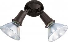 NUVO SF76/523 - 2 Light - 10" Flood Light- PAR38 with Adjustable Swivel - Bronze Finish