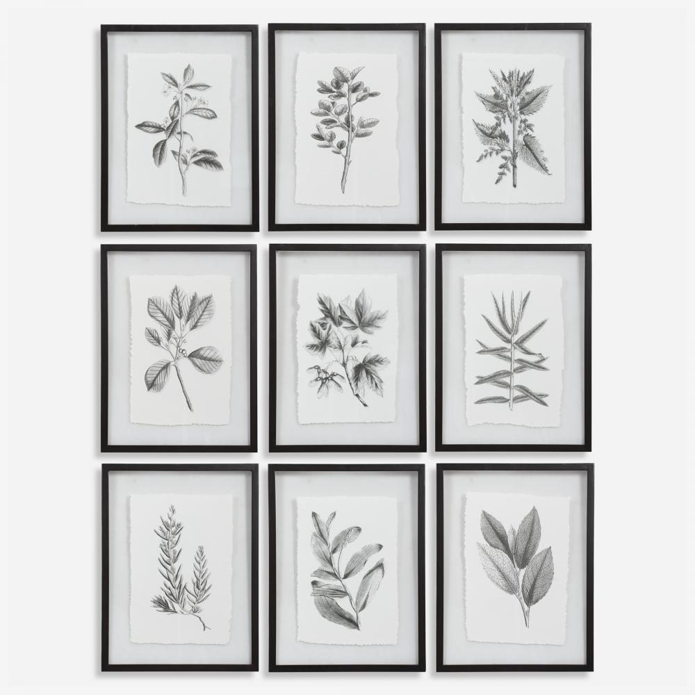 Uttermost Farmhouse Florals Framed Prints Set/9