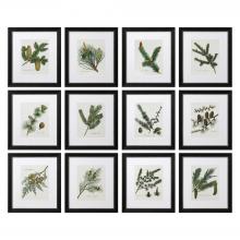 Uttermost 33672 - Uttermost Pinecone Prints, S/12