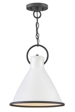 Hinkley 3557PT - Small Pendant