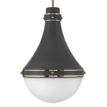 Hinkley 39054DMG - Medium Pendant