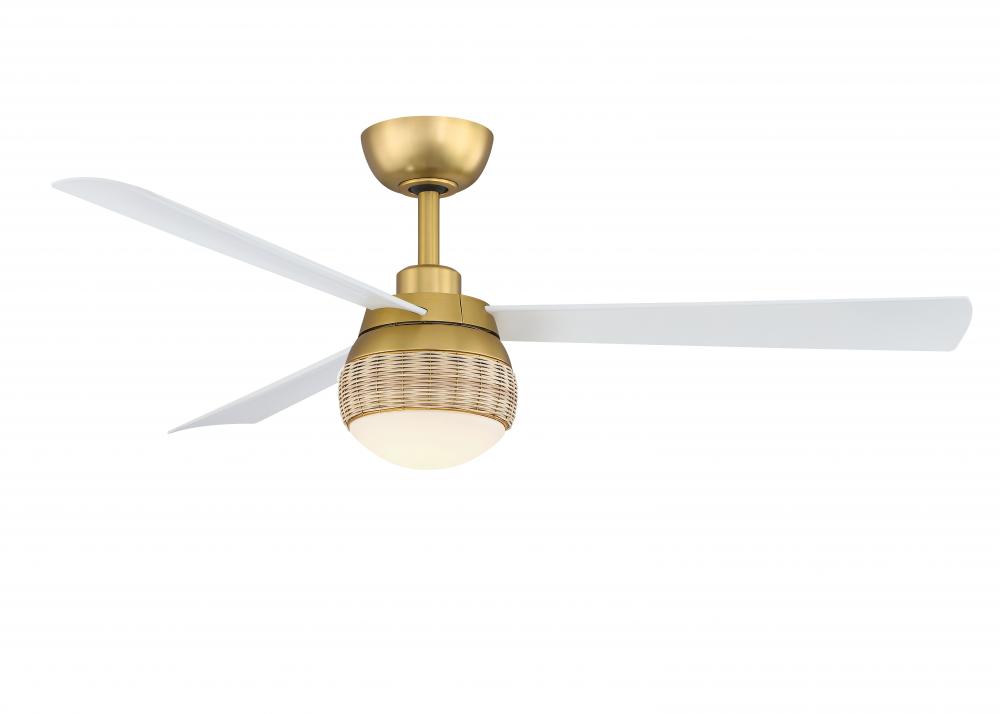 Paget 52 inch Indoor/Outdoor Ceiling Fan with LED Light Kit