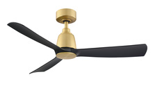 Fanimation FPD8547BSBL - Kute 44 inch Indoor/Outdoor Ceiling Fan - Brushed Satin Brass with Black blades