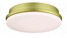 Fanimation LK8534BS - Kute Ceiling Fan Correlated Color Temperature (CCT) Select LED Light Kit - Brushed Satin Brass