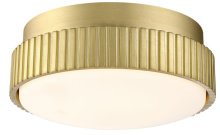 Fanimation LK8561BS - Kute Ceiling Fan Knurled Correlated Color Temperature (CCT) Select LED Light Kit