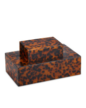 Currey 1200-0737 - Faux Tortoise Box Set of 2