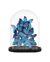 Currey 1200-0897 - Rue de Bac Blue Large Butterflies