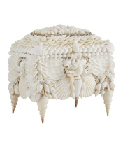 Currey 1200-0612 - Boardwalk White Shell Jewelry Box