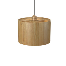 Accord Lighting 1539.09 - Element Accord Pendant 1539